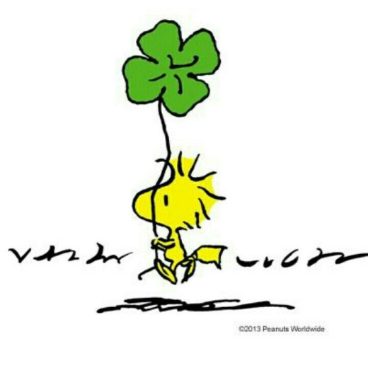 db073e2cc9ca5a1fe7abf071faf01a51